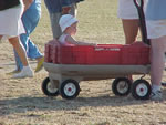 Baby in wagon
